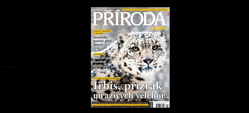 article preview